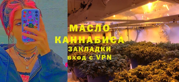 spice Инта