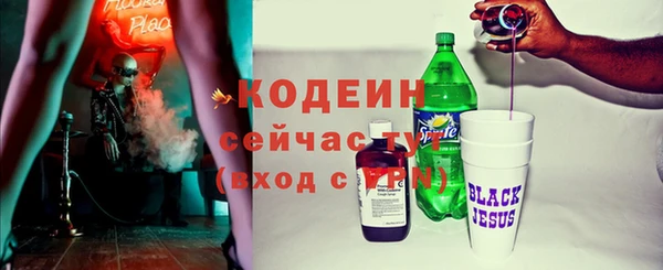 spice Инта