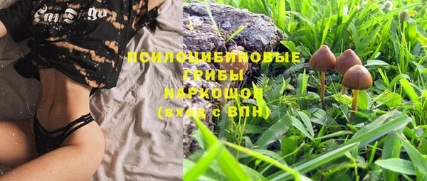 соль курить ск Иннополис
