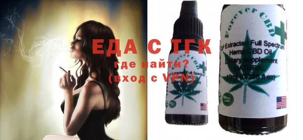 spice Инта