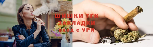 сатива Новосибирск