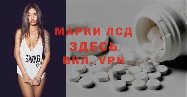 ECSTASY Инсар