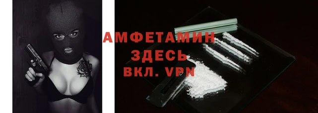 spice Инта
