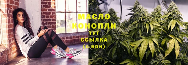 spice Инта