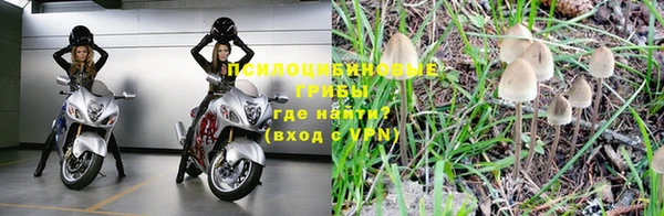 соль курить ск Иннополис