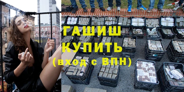 spice Инта