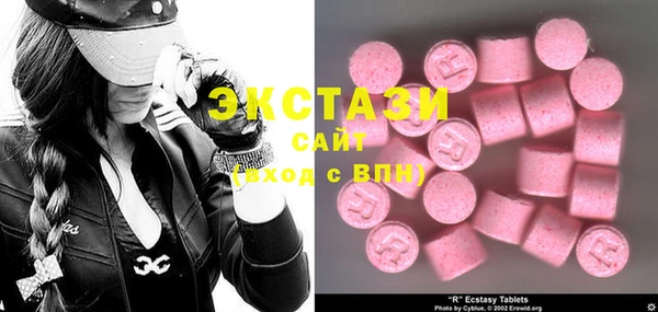 ECSTASY Инсар