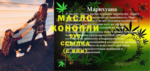 spice Инта
