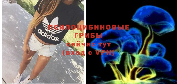 spice Инта